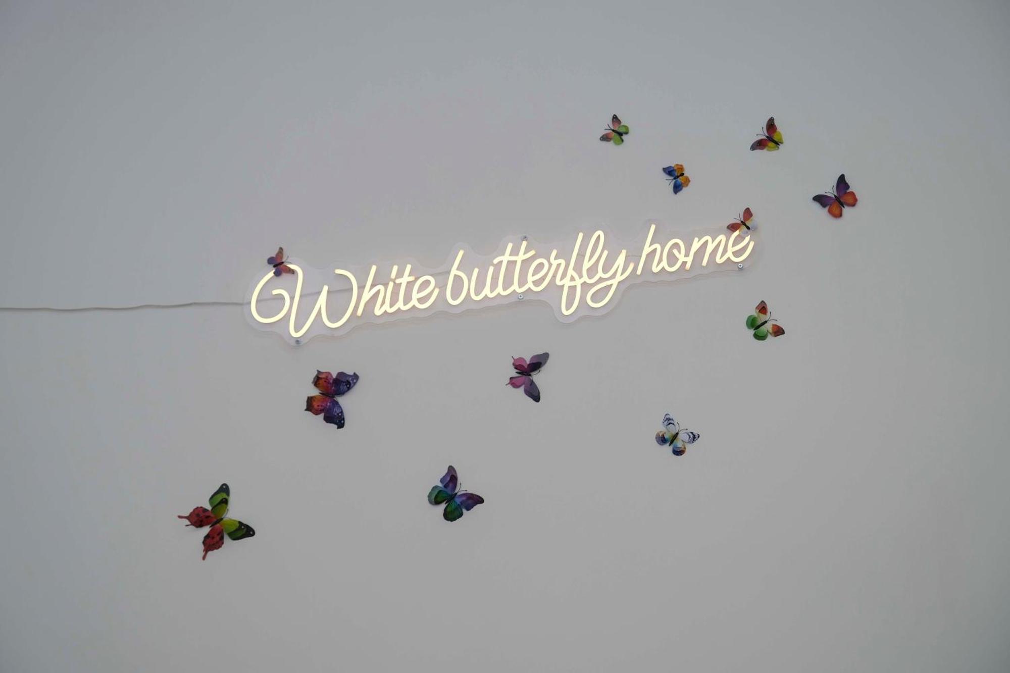White Butterfly Home เนเปิลส์ ภายนอก รูปภาพ